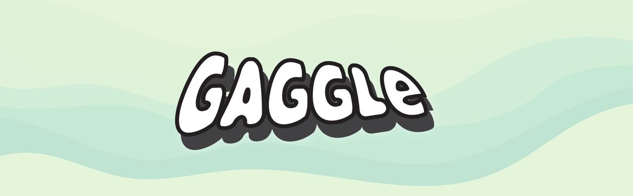 Gaggle banner